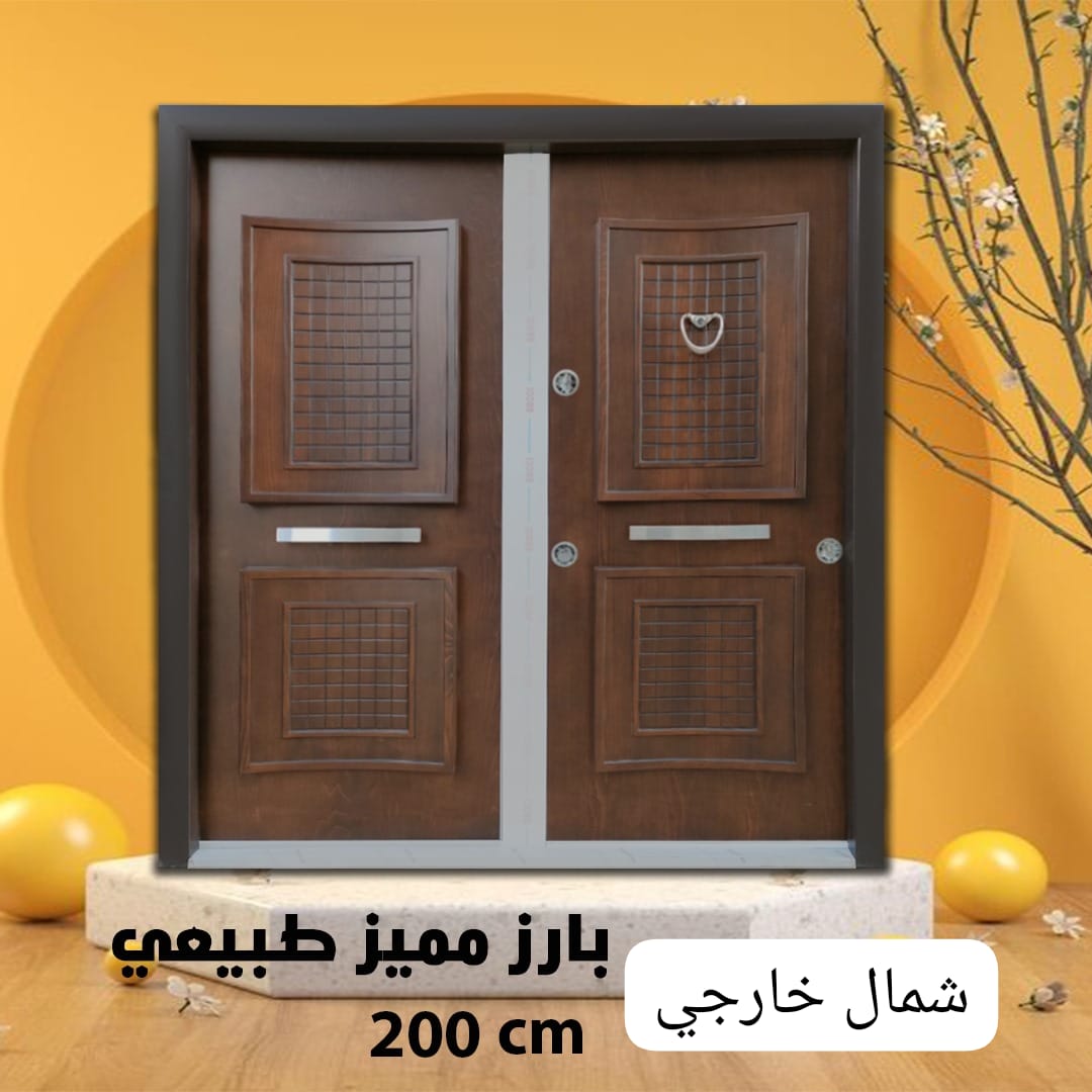 Armored door