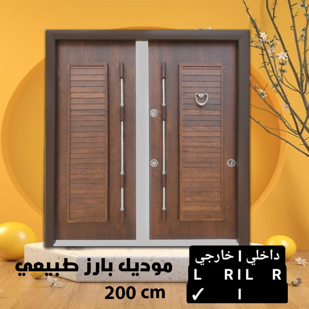 Armored door
