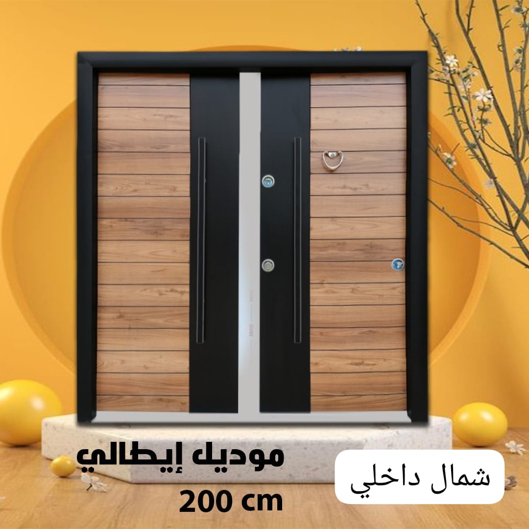 Armored door