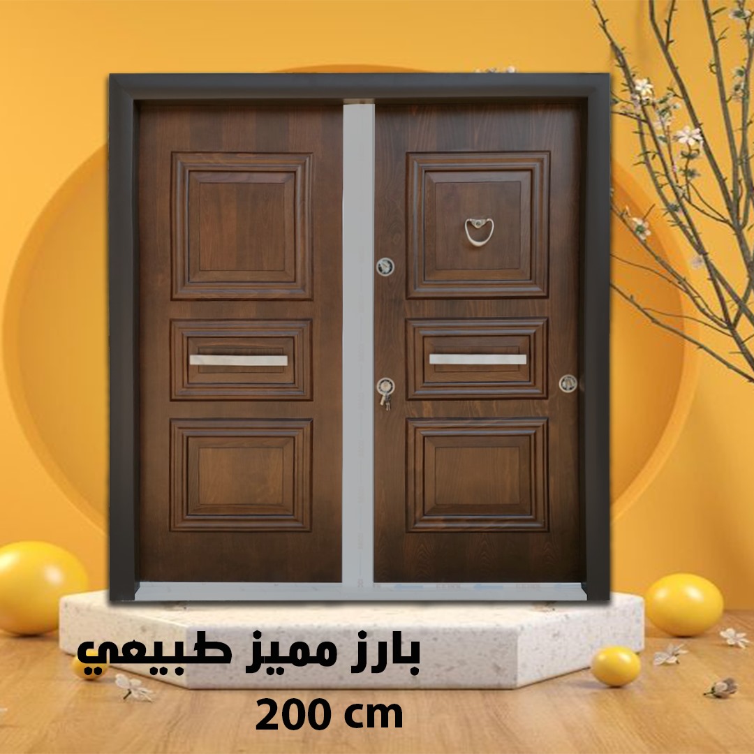 Armored door