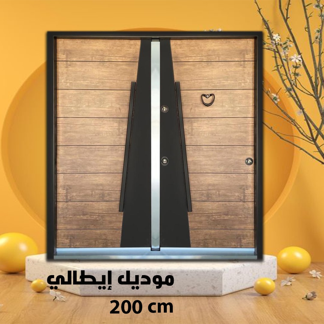 Armored door