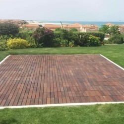 Teak Wood