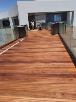 Teak Wood