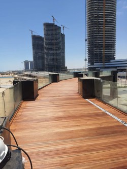 Teak Wood