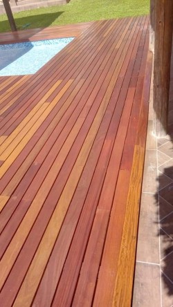 Teak Wood