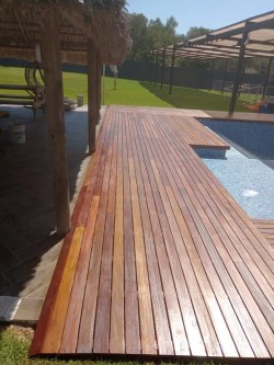 Teak Wood