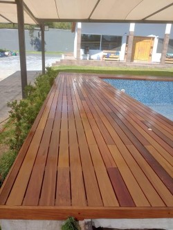 Teak Wood