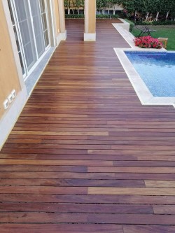 Teak Wood