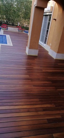 Teak Wood