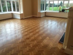 Teak Wood